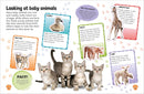Sticker Encyclopedia: Baby Animals | DK
