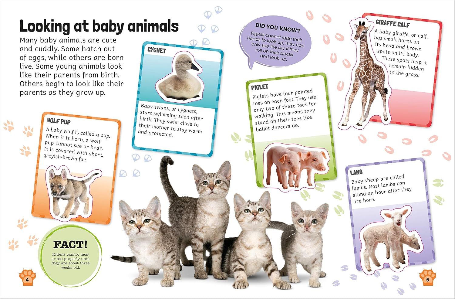 Sticker Encyclopedia: Baby Animals | DK
