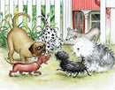 hairy-maclary-shoo