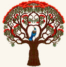 tui-and-pohutukawa
