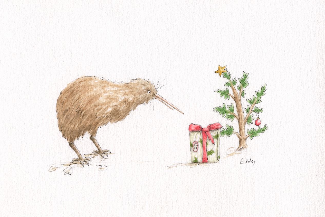 kiwi-with-present