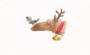 fantail-on-deer-nose