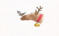fantail-on-deer-nose