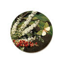 nikau-berries-kohekohe-ti-kouk