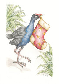 pukeko-with-stocking