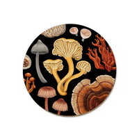 nz-fungi-bolete-coaster