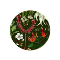 nz-plants-coaster