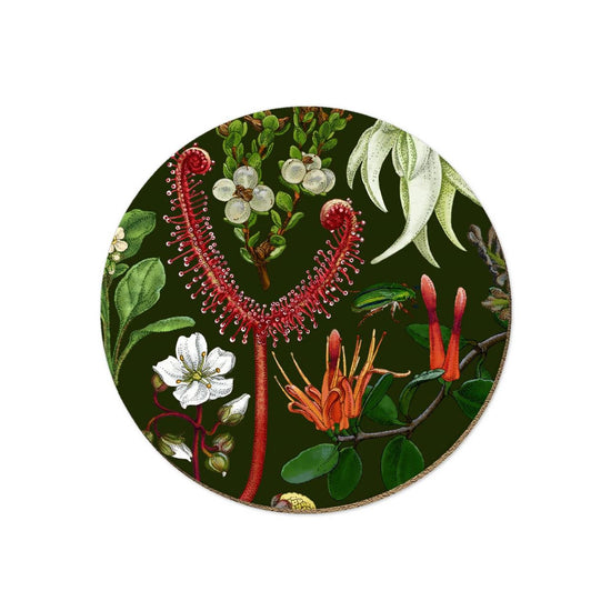 Nz Plants - Coaster