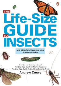 The Life-Size Guide to Insects: DK