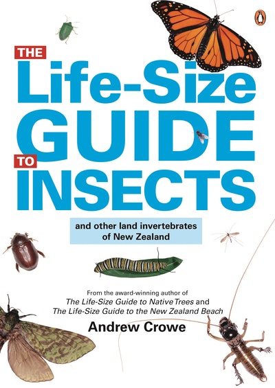 The Life-Size Guide to Insects: DK
