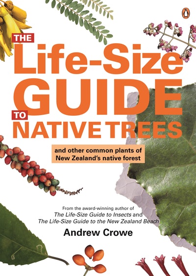 Lifesize Guide to Native Trees: Andrew Crowe