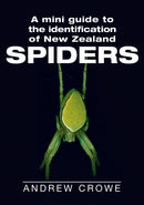 mini-guide-to-nz-spiders-andrew-crowe