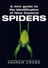 mini-guide-to-nz-spiders-andrew-crowe