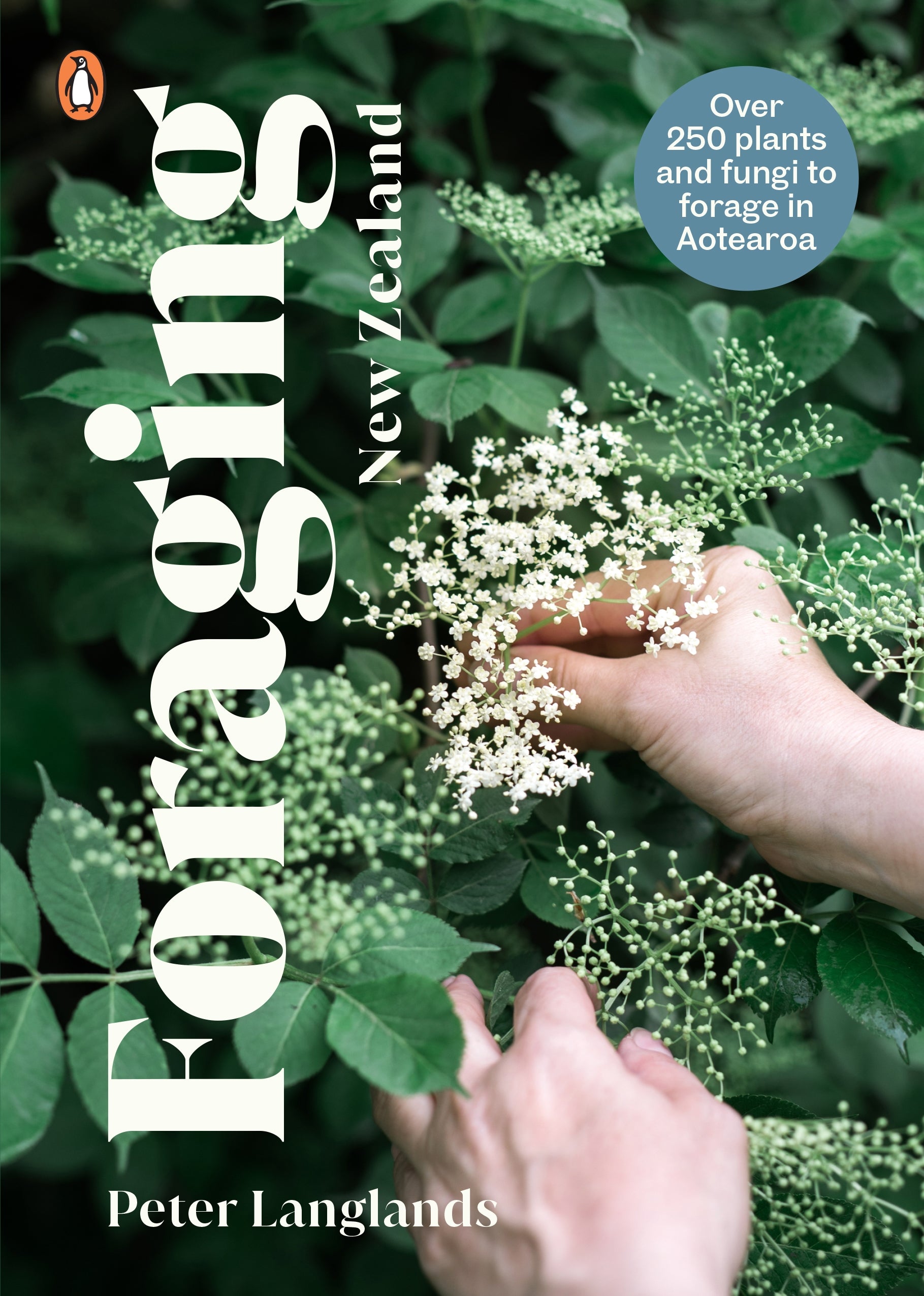 foraging-new-zealand-peter-langlands
