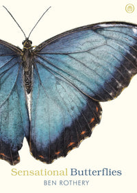 sensational-butterflies