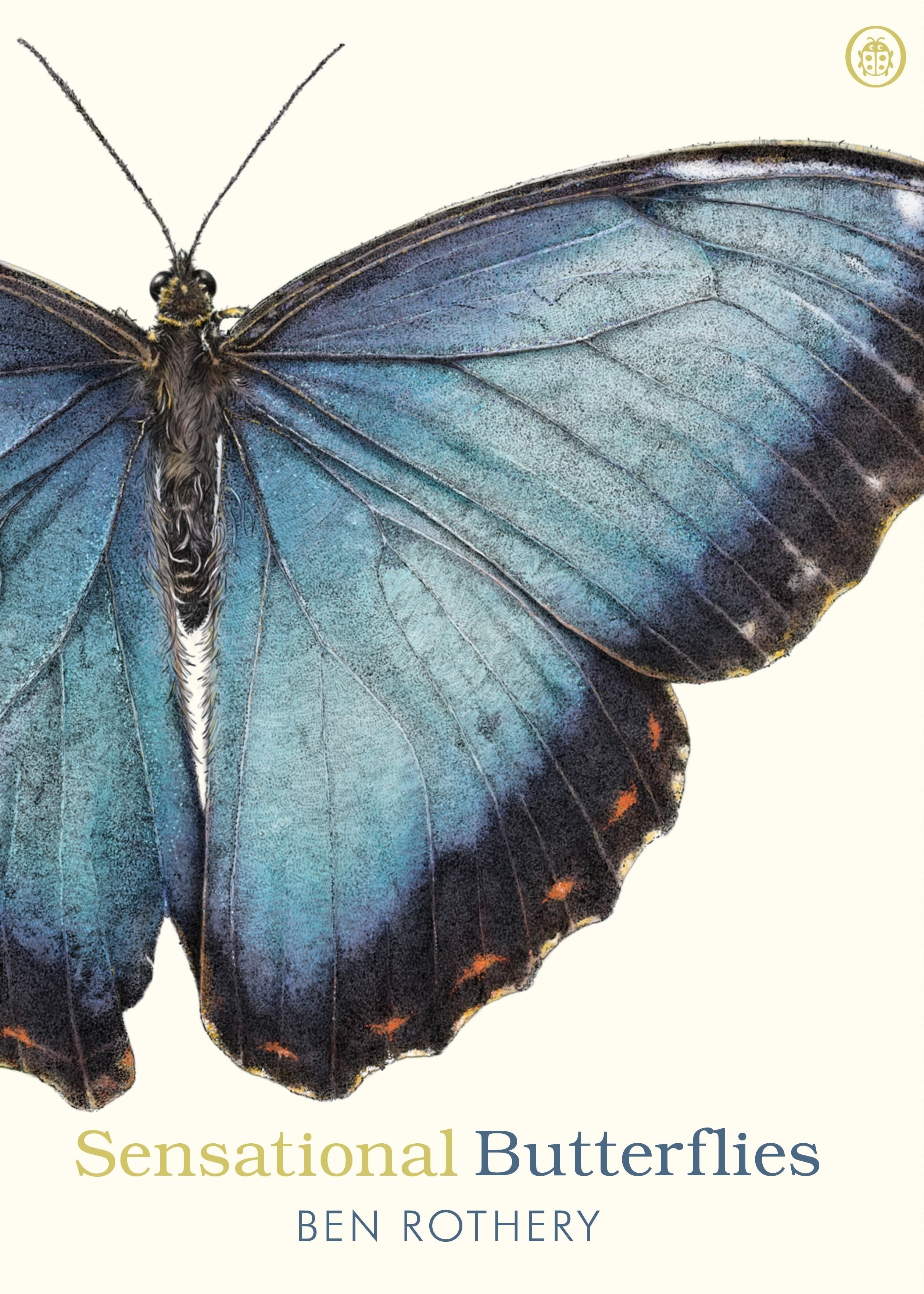sensational-butterflies