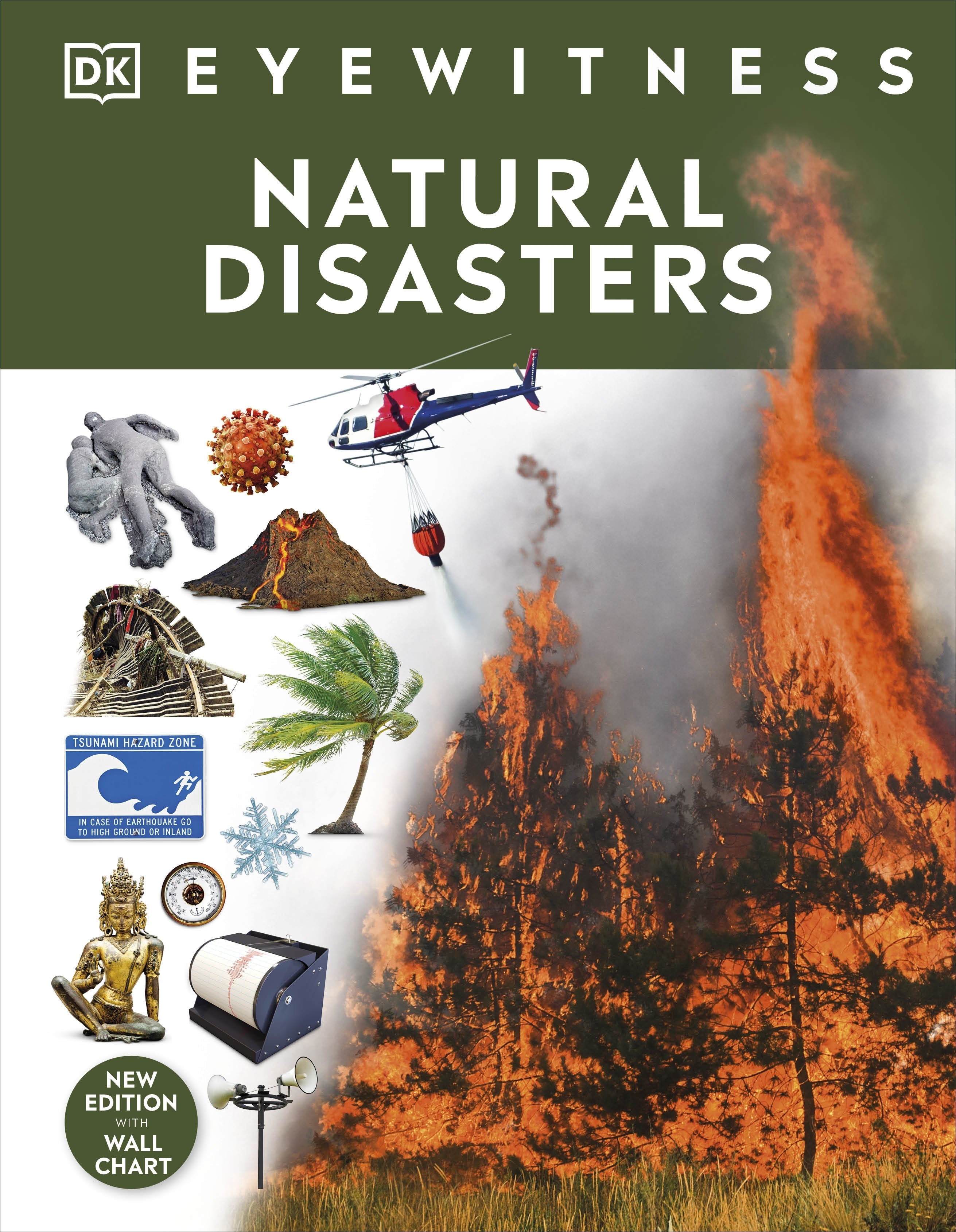 DK Eyewitness: Natural Disasters