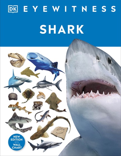 DK Eyewitness: Shark