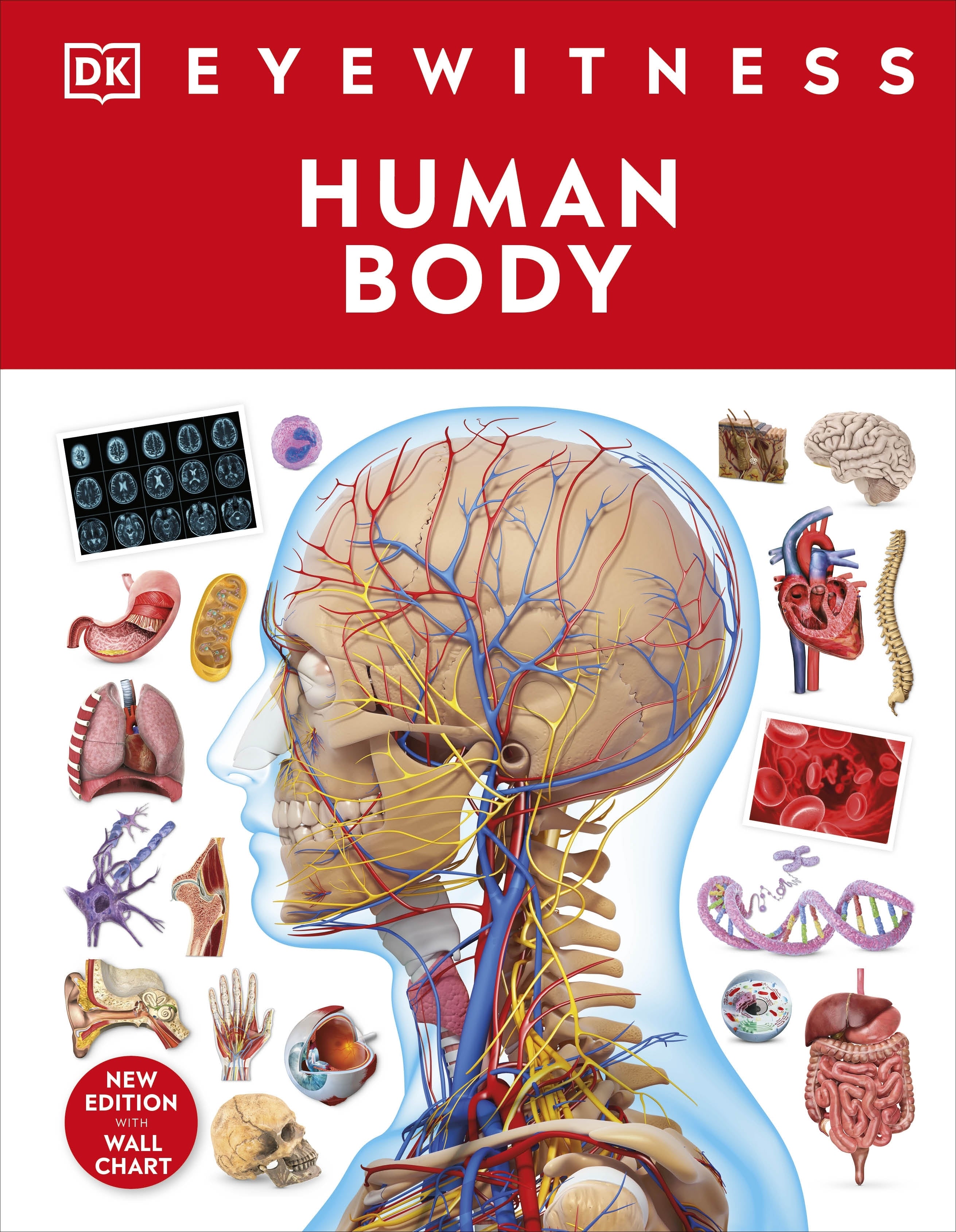 dk-eyewitness-human-body