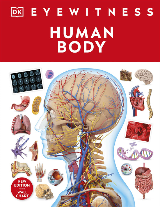 DK Eyewitness: Human Body