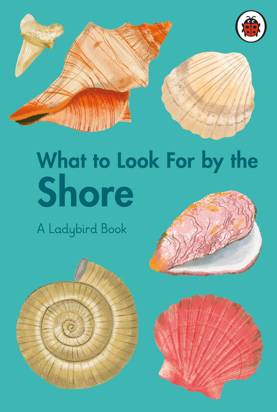 What to Look for by the Seashore: Ladybird HB