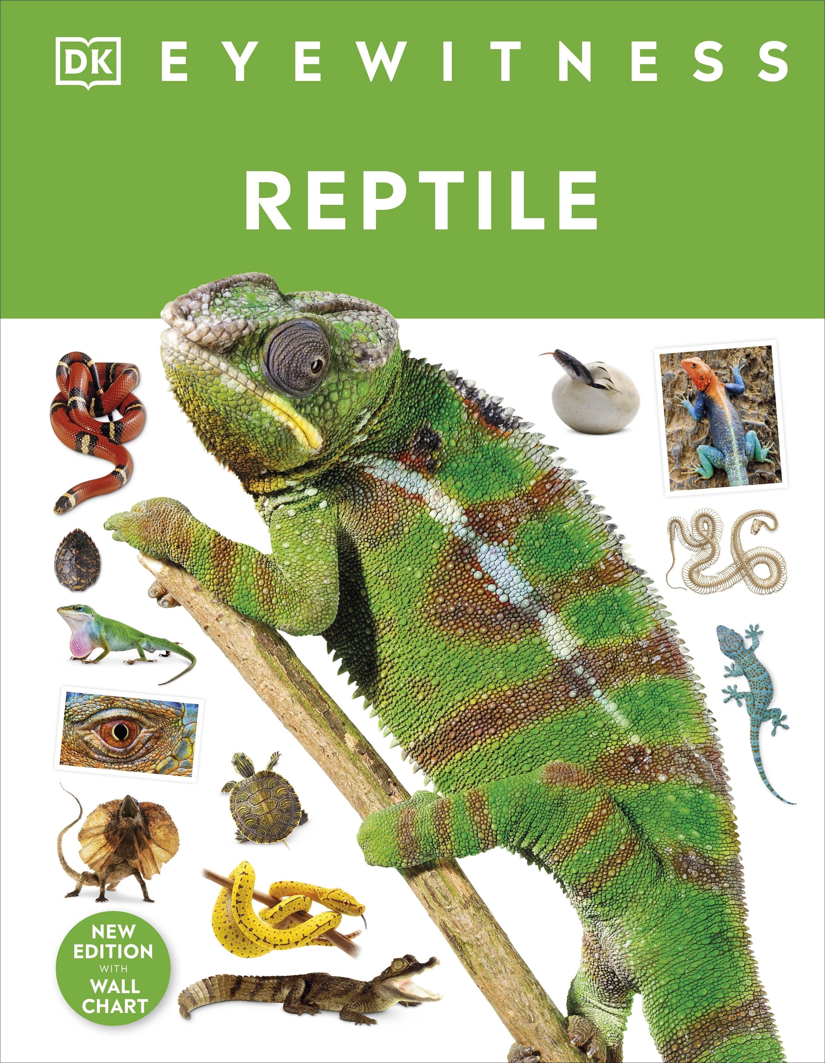 dk-eyewitness-reptile