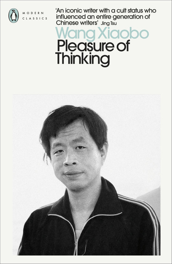 Pleasure of Thinking: Wang Xiaobo