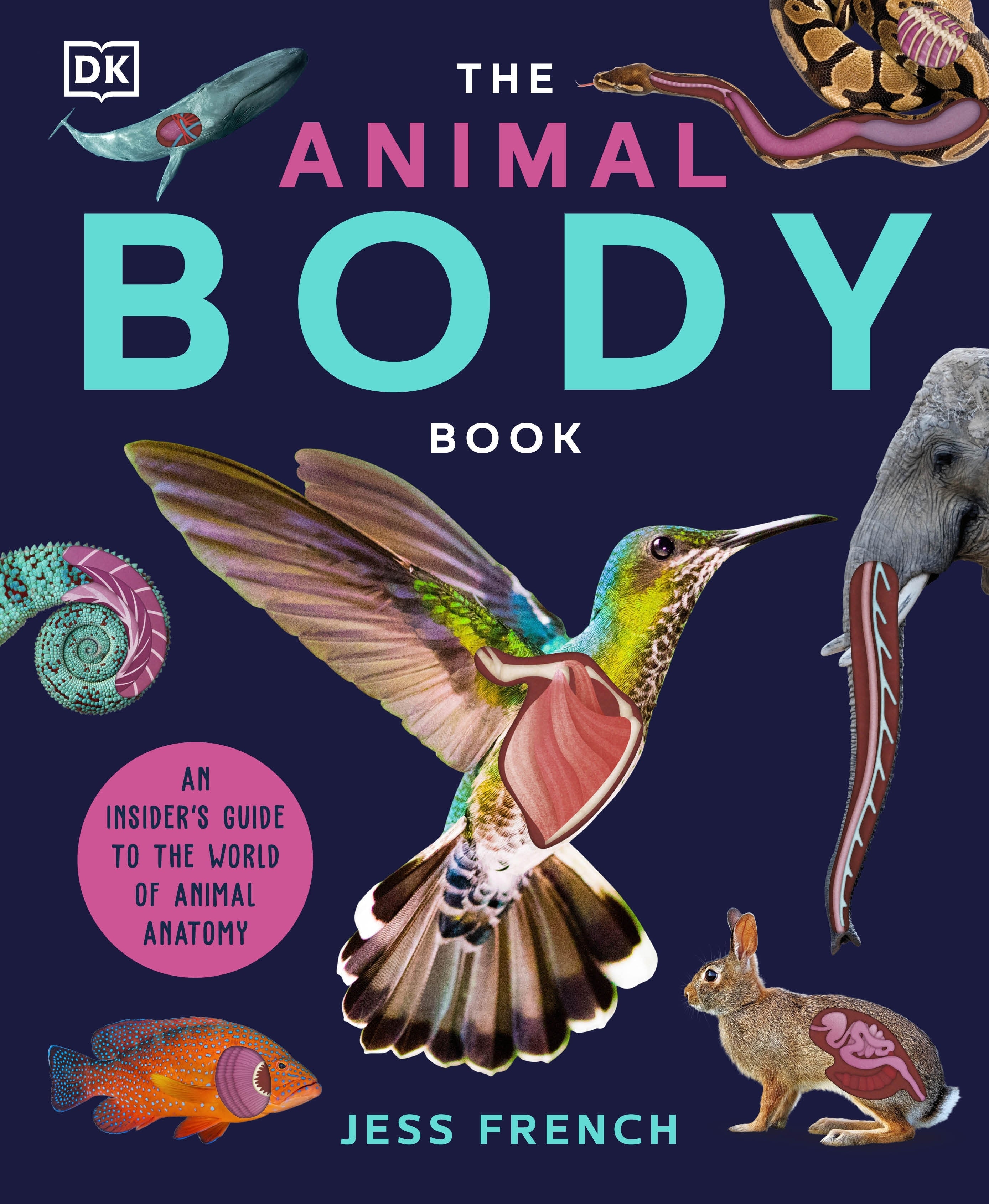 the-animal-body-book-dk