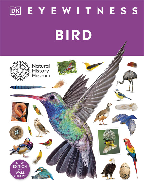 DK Eyewitness: Bird