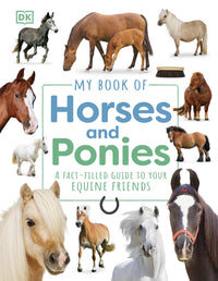 my-book-of-horses-and-ponies-dk