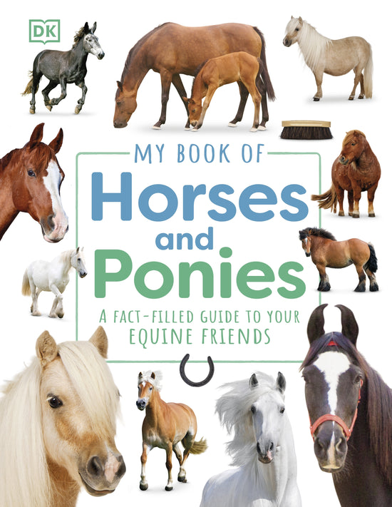 My Book of Horses & Ponies: DK