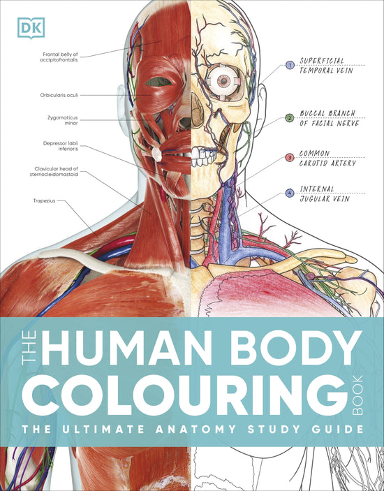 DK: Human Body Colouring Book
