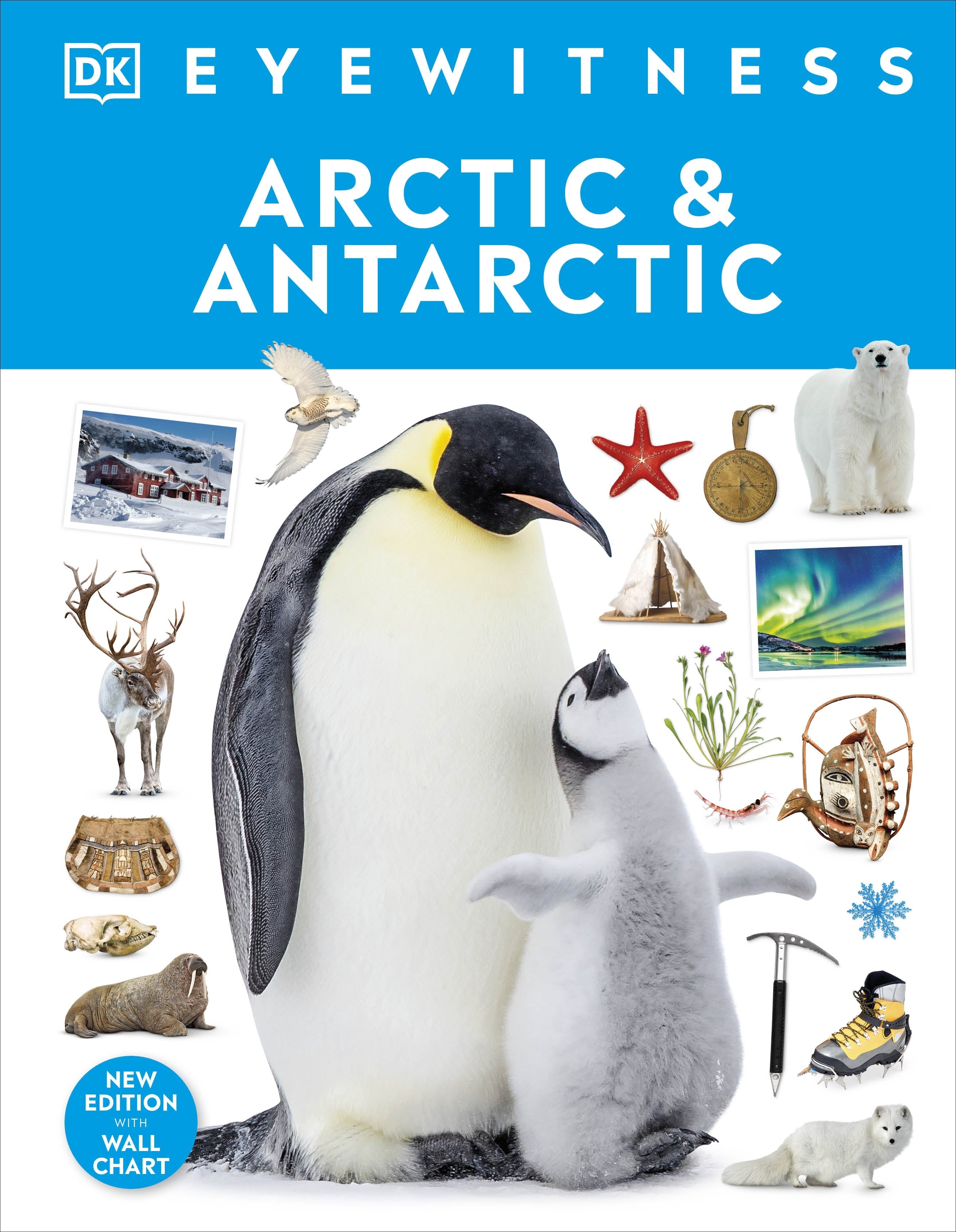 arctic-and-antartic-dk