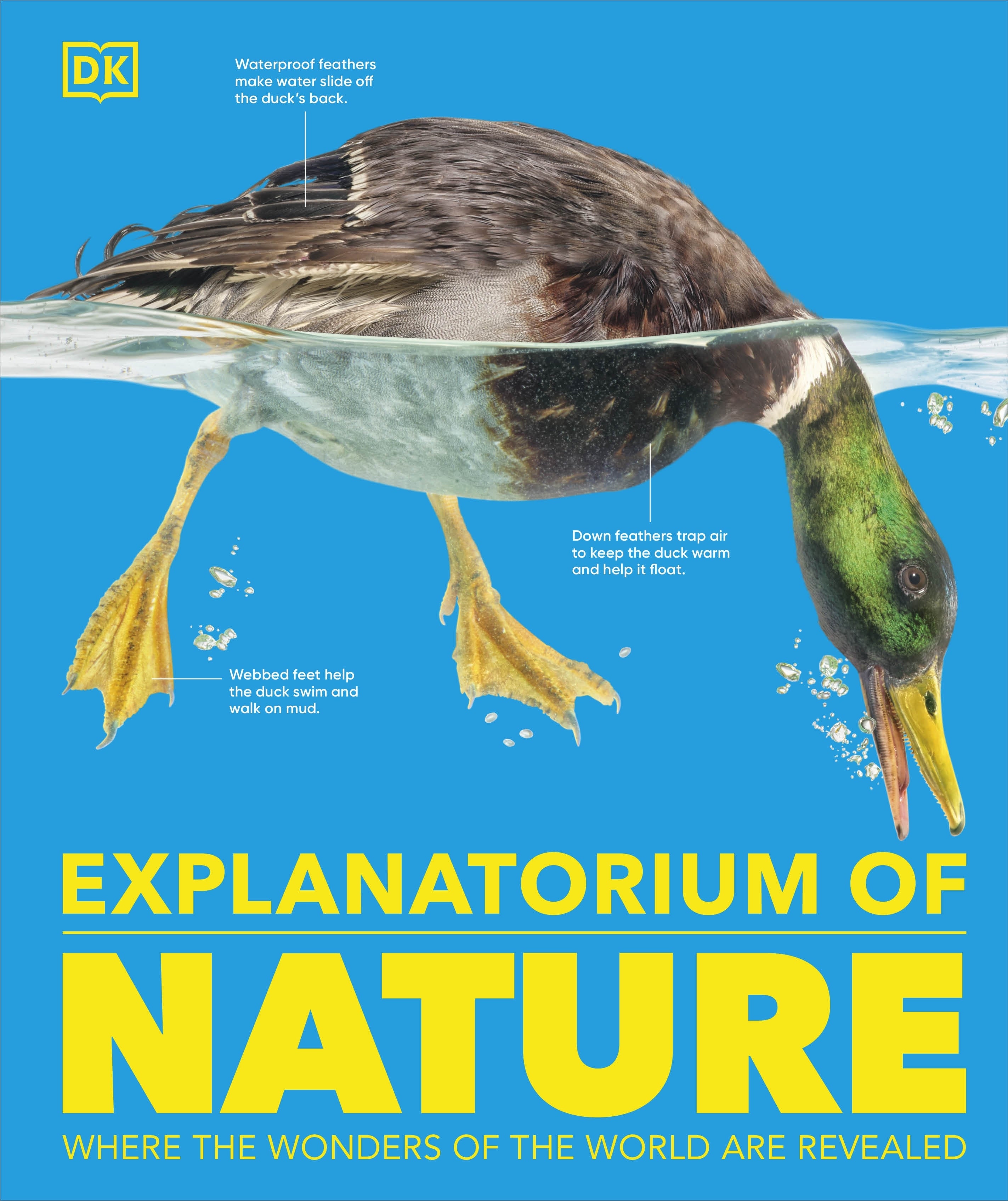 explanatorium-of-nature-dk