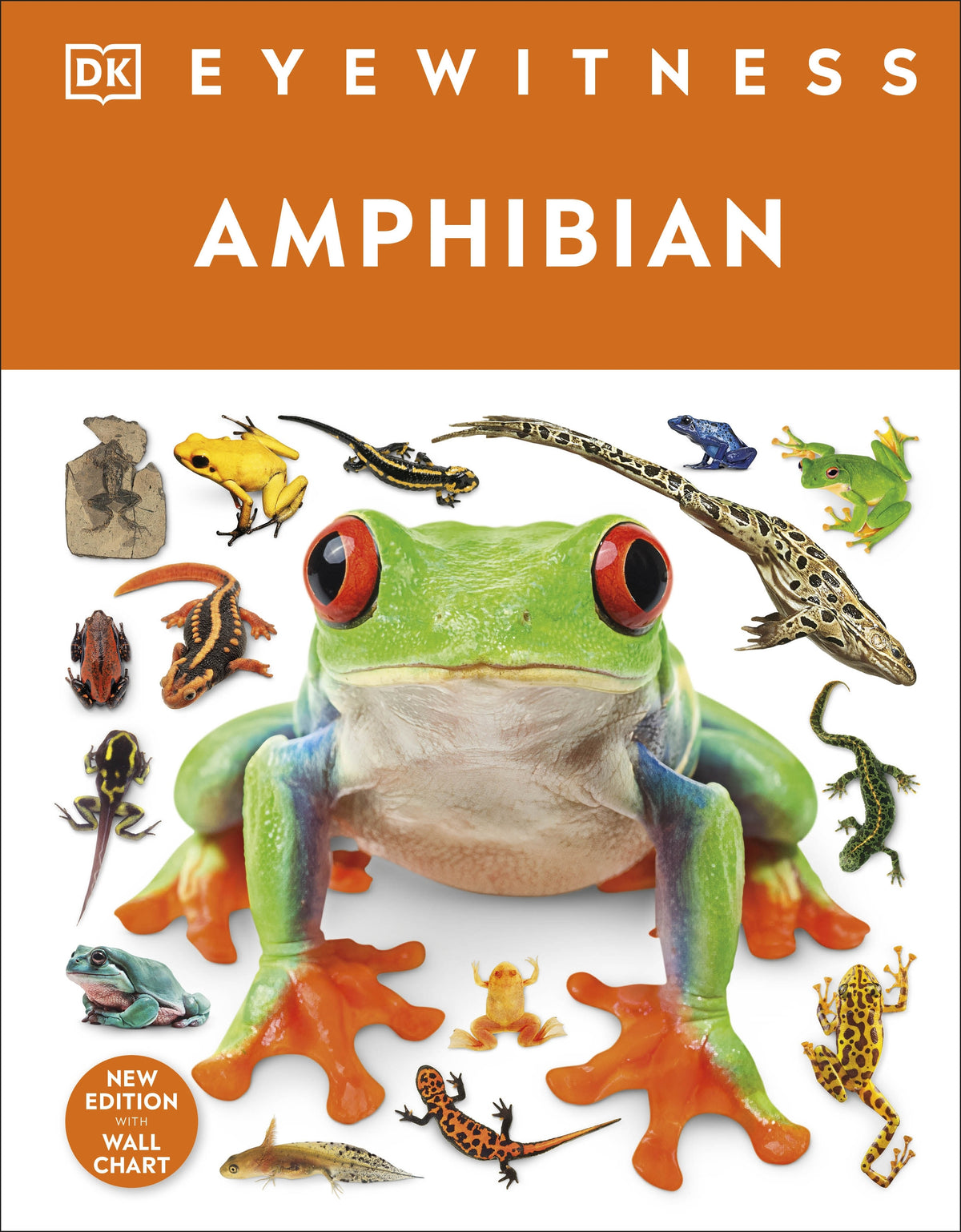 Eyewitness Amphibian