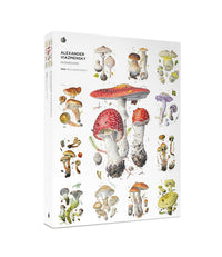 cavallini-co-foraging-1000-pce-vintage-puzzle