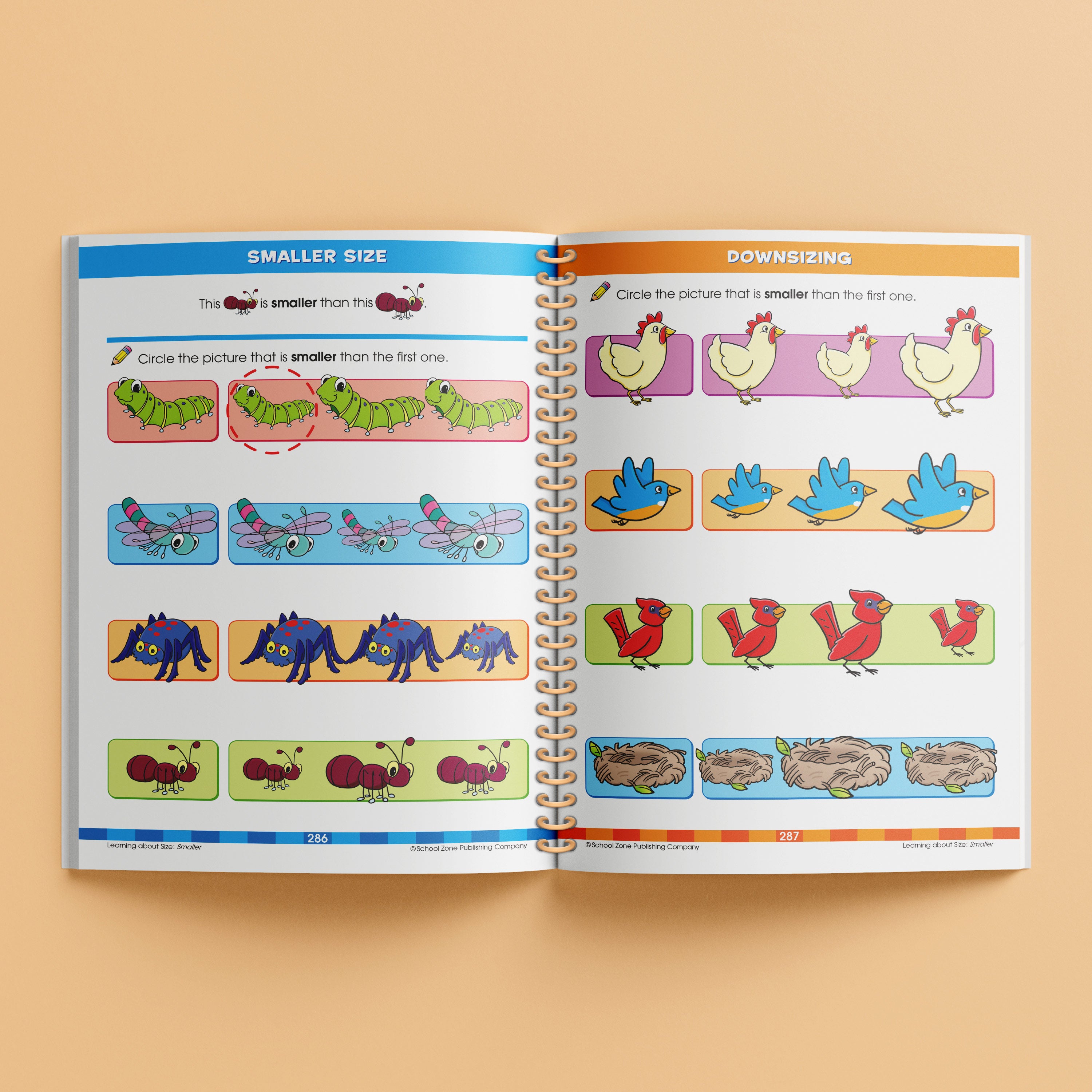 School Zone Big Spiro Workbook Kindergarten