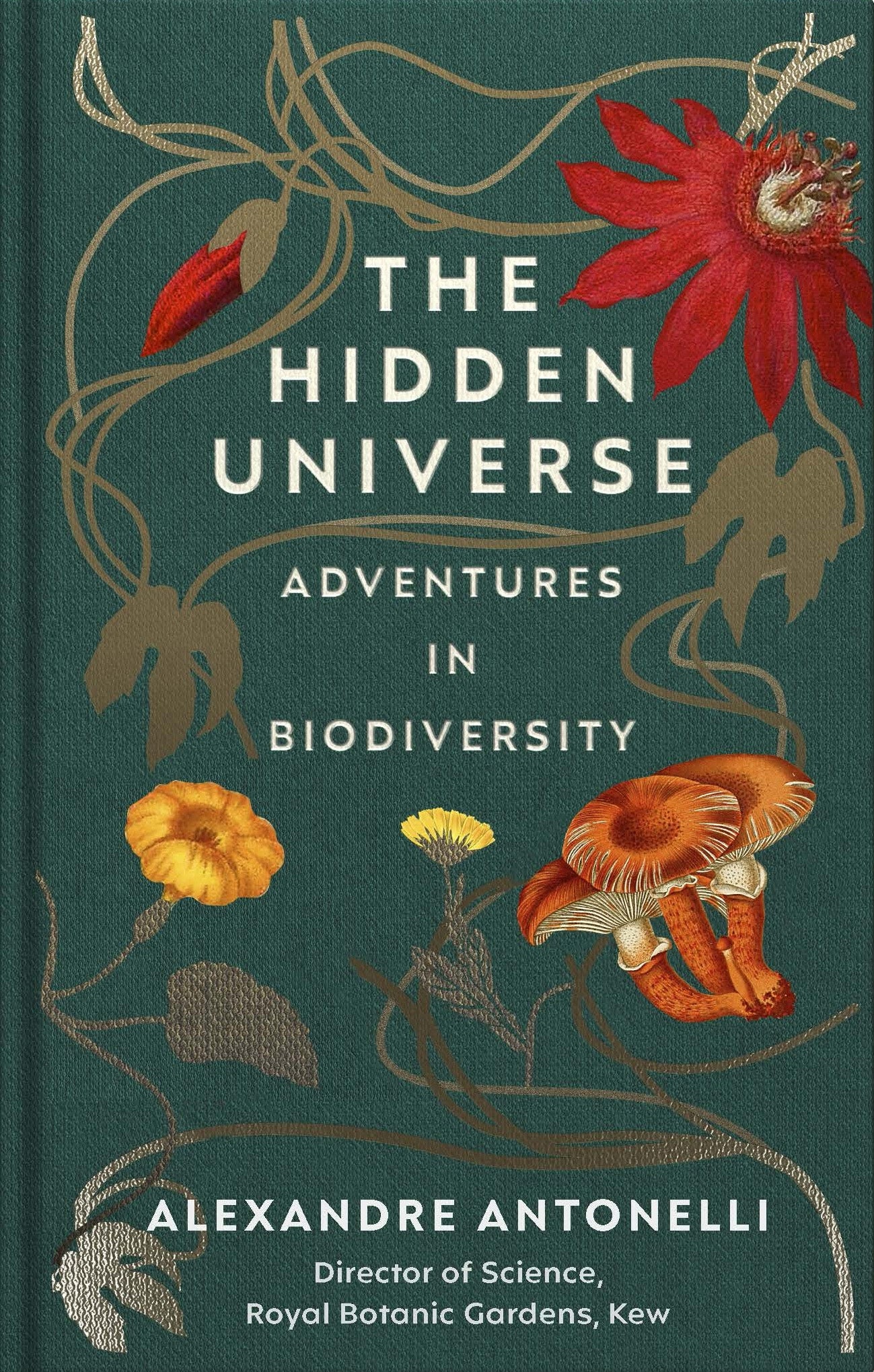 the-hidden-universe-hb