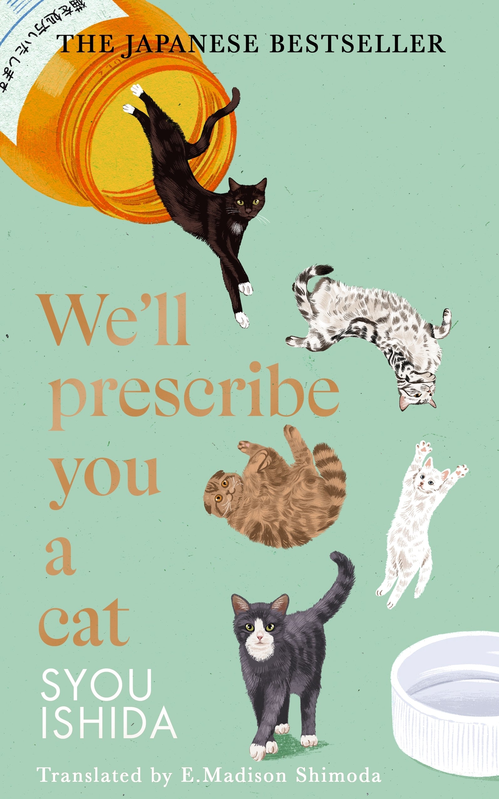 well-prescribe-you-a-cat-syou-ishida