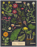 cavallini-co-herbarium-1000-pce-vintage-puzzle