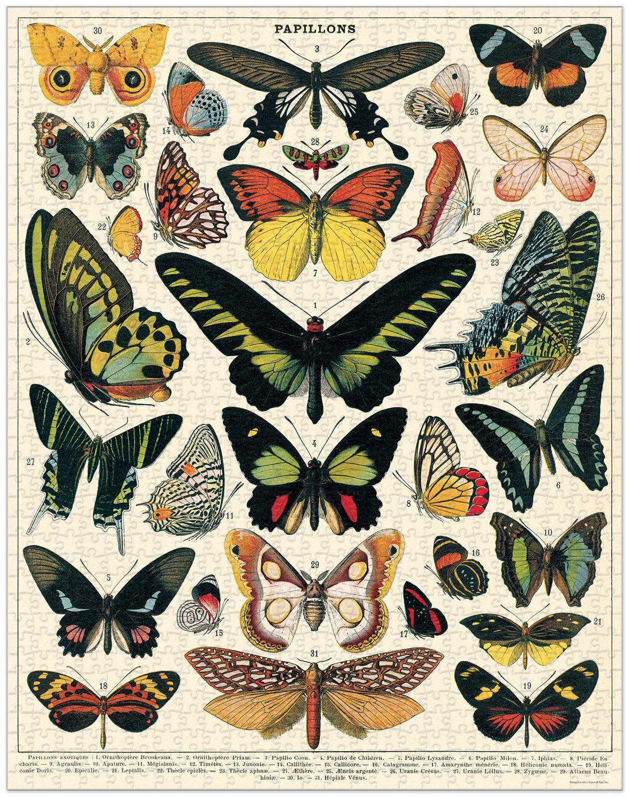cavallini-co-butterflies-1000-pce-vintage-puzzle