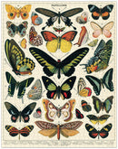 cavallini-co-butterflies-1000-pce-vintage-puzzle