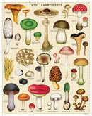 cavallini-co-foraging-1000-pce-vintage-puzzle-1
