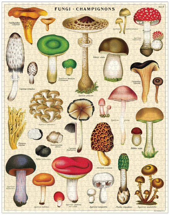 Cavallini & Co - Mushrooms 1000 Pce - Vintage Puzzle
