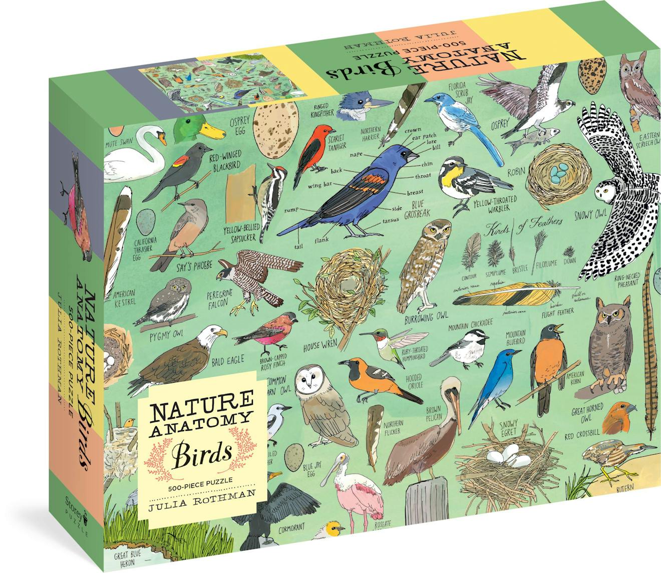 Nature Anatomy Birds 500pc Jigsaw