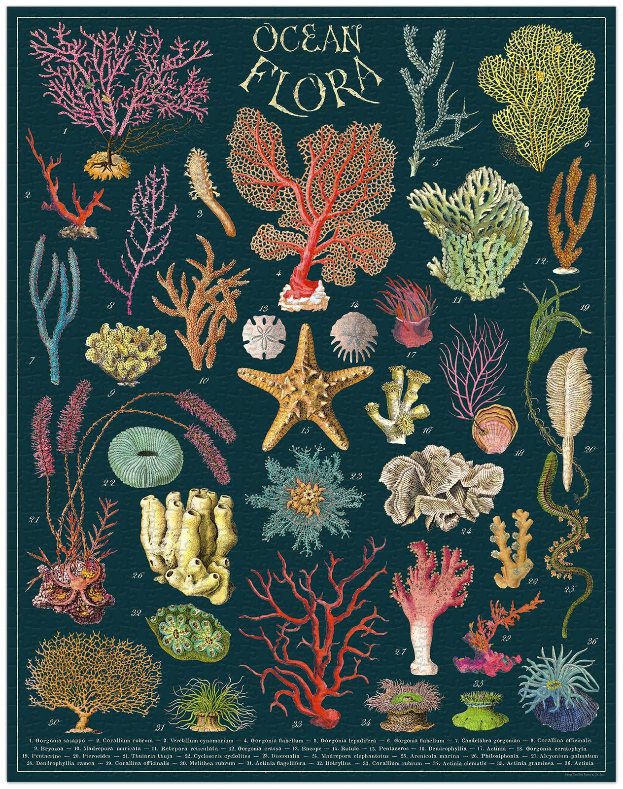 cavallini-co-ocean-flora-1000-pce-vintage-puzzle