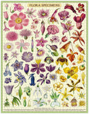 cavallini-co-flora-specimens-1000-pce-vintage-puzzle