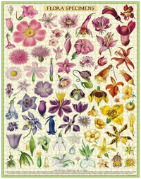 cavallini-co-flora-specimens-1000-pce-vintage-puzzle