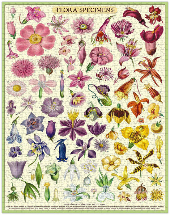 Cavallini & Co - Flora Specimens 1000 Pce - Vintage Puzzle