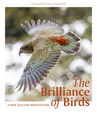 the-brilliance-of-birds
